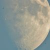 moon shots 90mm refractor 19.05.13 033
