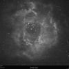 Rosette Nebula mono Ha