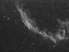NGC6992 (Veil Nebula) 6x 6 minute subs through Megrez 72 in Ha. June 23rd 09Kindly processed by SteveL. Unfortunately I didn