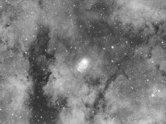 Sadr Vicinity Ha WIP4 - 6x 10 min subs in Ha taken whilst playing with planetarium control of my EQ6