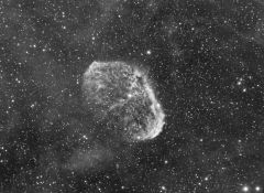 NGC6888 Ha WIP21x  20 min Ha subsSXV-H9, FLT-98, AFR-IV