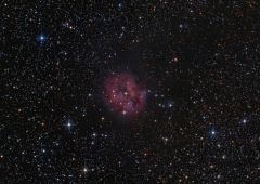 Cocoon Nebula Close-Up, IC5146