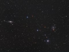 NGC 1023 + IC 239