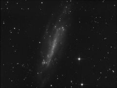SXVFH9 2015 NGC4236 L 31XX