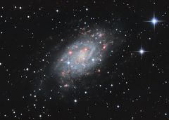 NGC2403 201X LHaGB 2