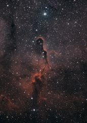 LDN1105 (Elephants Trunk nebula, part of IC 1396)