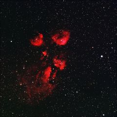 NGC 6334 - Cat