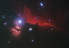 Horsehead and Flame nebulas.