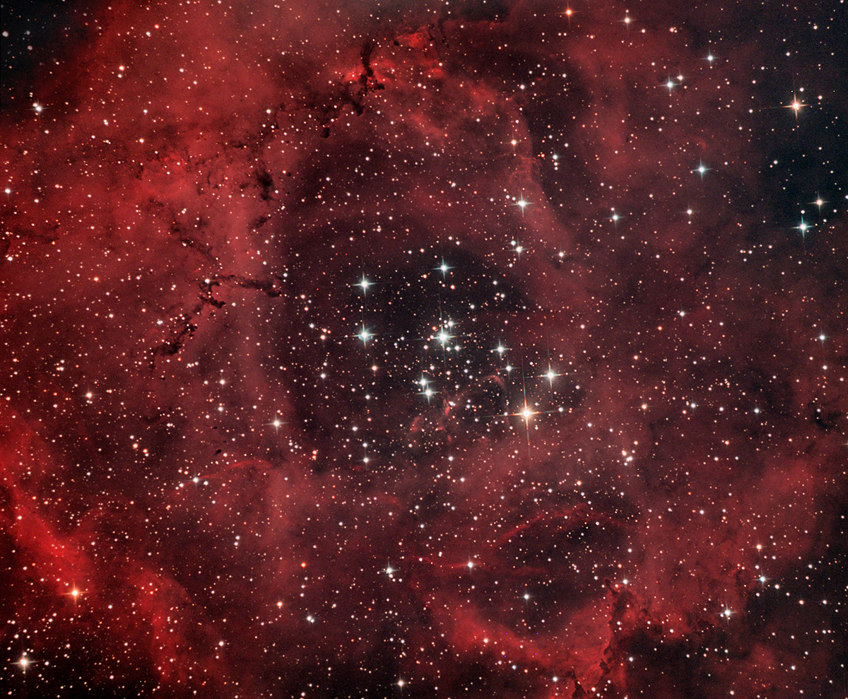 Rosette Nebula Quattro Qhy8 Jan2012  15min exposures