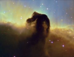 Narrowband Horsehead 2011

WIP - non standard colour mapping