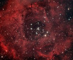 Rosette Nebula Quattro Qhy8 Jan2012  15min exposures