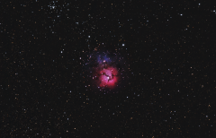 Trifid with more data