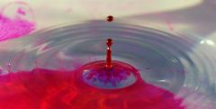 Another World 08 - Red ink into water

Just out of focus