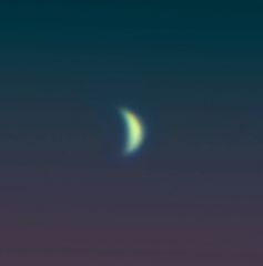 Venus 03 29th Nov 2013