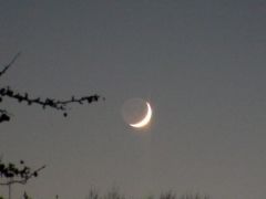 n (7) Lovely crescent moon with earth shine as is the next photo.