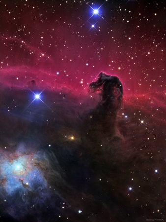 The beautiful..Horse Head Nebula