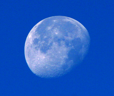 bluemoon taken by me at 730am date unknown. canon 350d,200mm and 2x extension