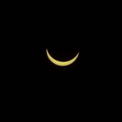 Eclipse Max Holbeach