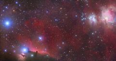 POW 17-01-2011 Horse Head, Flame and Great Orion Nebula by Peter Shah
