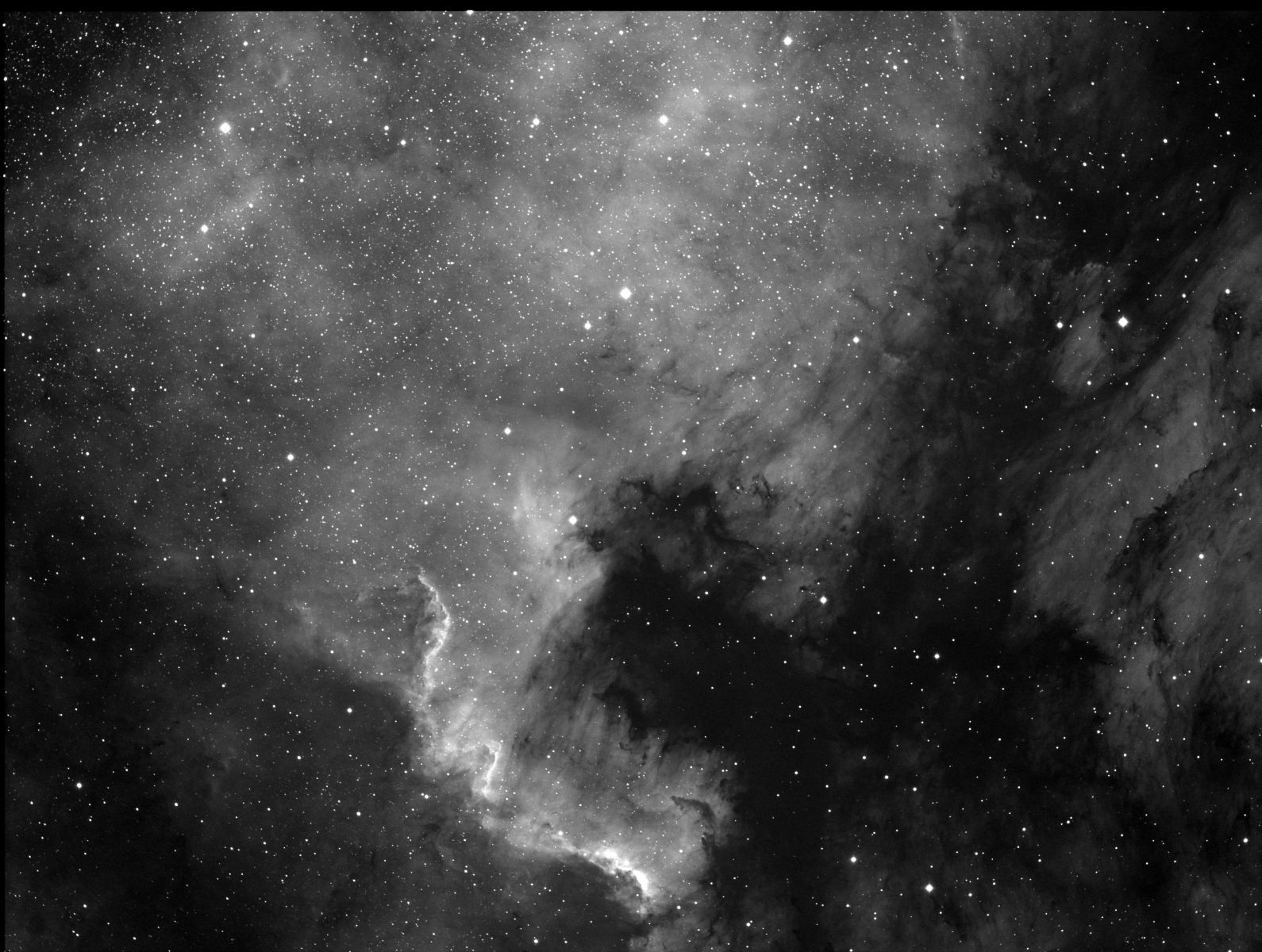 NGC 7000 Ha