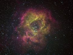 Rosette Nebula in CFHT Palette