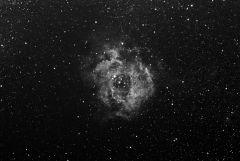 Rosette Nebula
Kielder, March 2010
Pentax 75
Luminance Only