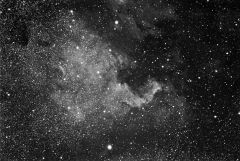 NGC7000 
Kelling Heath, September 2010