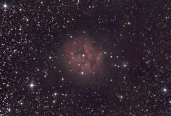 IC5146 Cocoon Nebula 15 Aug 09