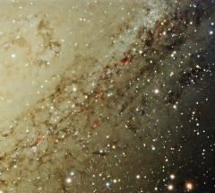 M31 Core detail