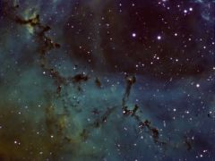Rosette Nebula Dust Pillars NB