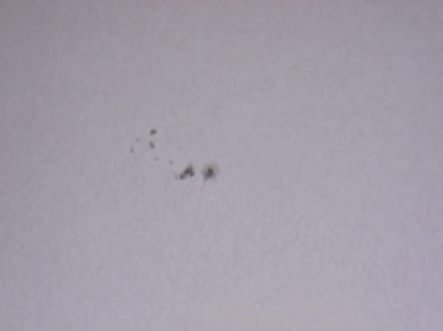Sun Spot Cluster 17-02-2013
