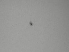 Sun Spot 17-02-2013