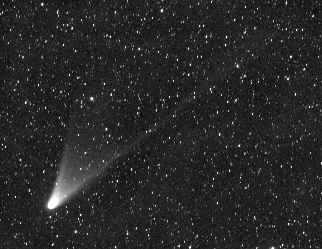 CometPANSTARRS By T.Lovejoy Australia HR