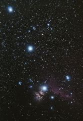 B33 - Horsehead Nebula