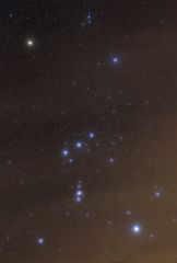 Orion Diffused