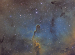 IC 1396 The Elephant's Trunk Nebula