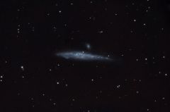 Whale Galaxy, NGC 4631