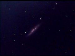 M82 The Cigar galaxy
