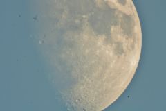 moon shots 90mm refractor 19.05.13 033