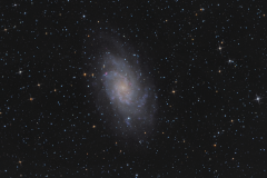 M33olly 2
