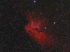 NGC 7380 Wizard Nebula HaRGB