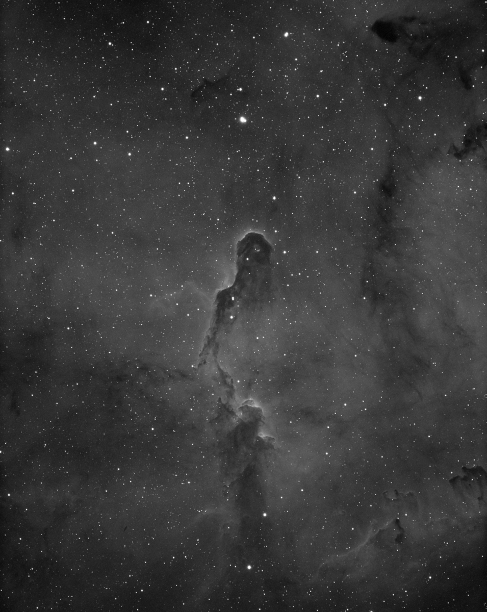 Elephant's Trunk in IC1396
