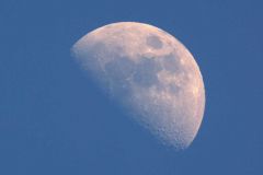 Moon by day 09/03/2014