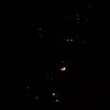 Orion Nebula - DSLR on Tripod 300mm Lens