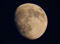 Moon 11 10 08