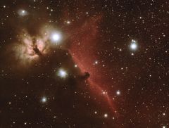horsehead nebula2