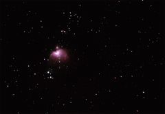 Orion Neb