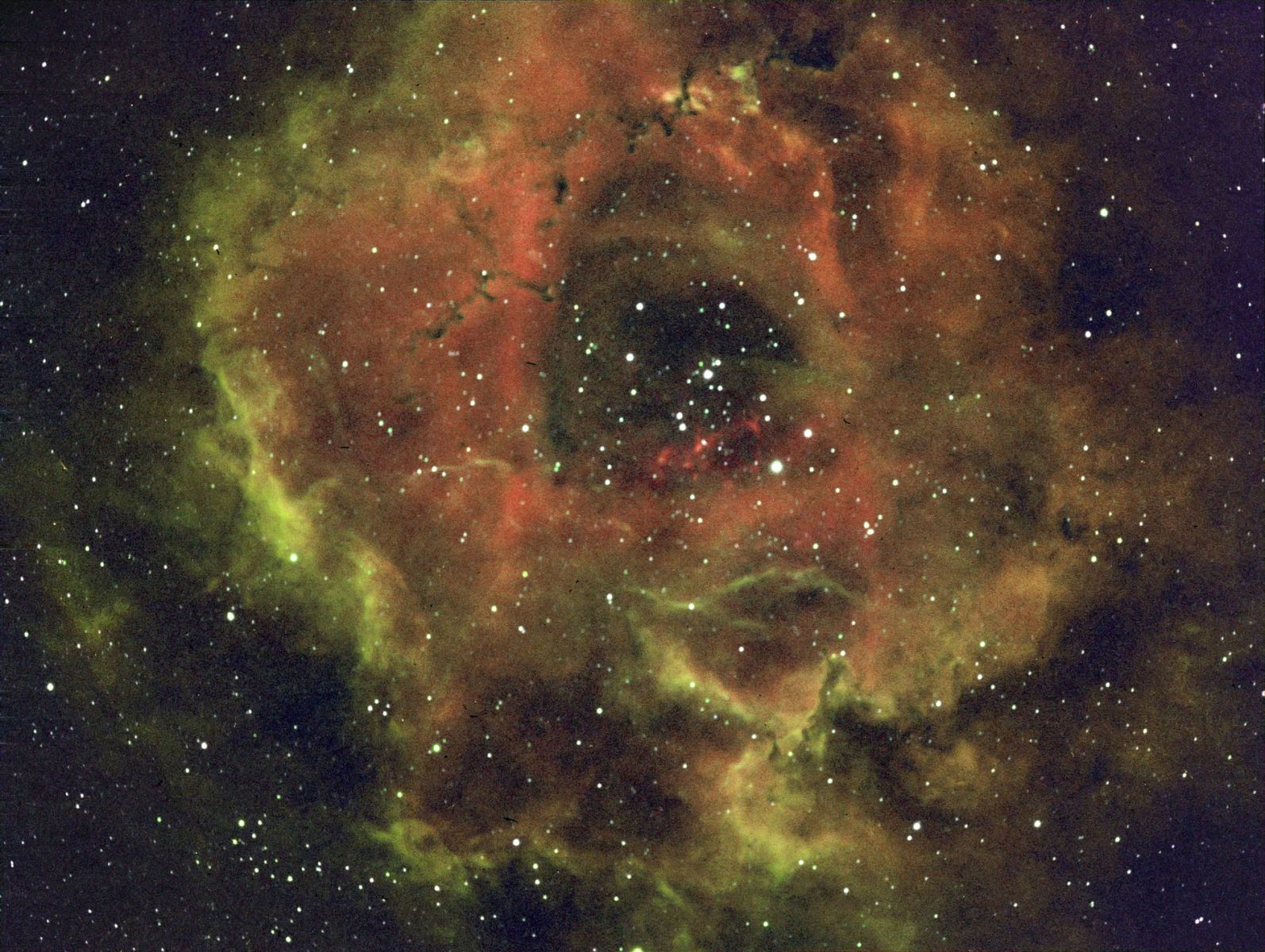 NGC2237 RGB   Adj. Colour, NR, unsharp mask small
