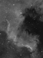 NGC7000 the wall Atik 314 ED80 reproc 081011 15x300, Atik 314L, 0.85fr, ED80 originally from 2009