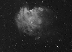 NGC2174 Monkey Head Nebula 17x900 QSI 0.8 7nm ha SW120 140312